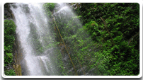 About Parvatha Homestay