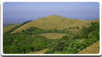 Kodachadri