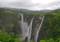 Jog falls