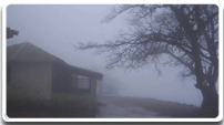 About Parvatha Homestay