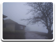 Parvatha homestay photo gallery 